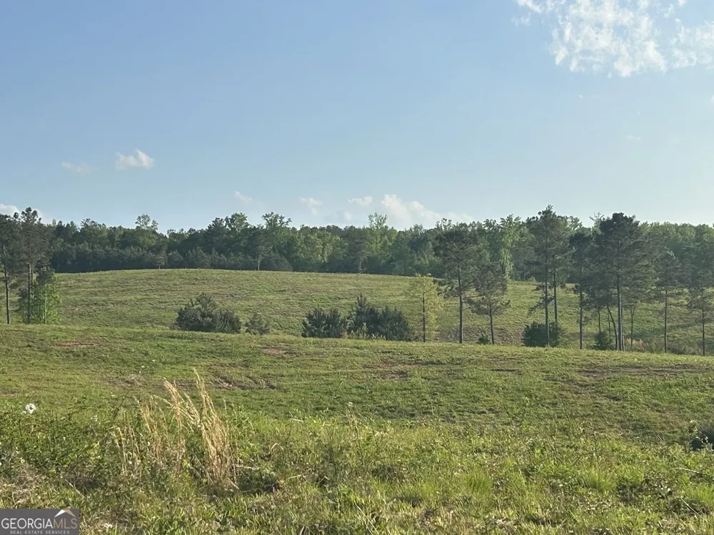 0 Needmore RD Roopville, GA 30170