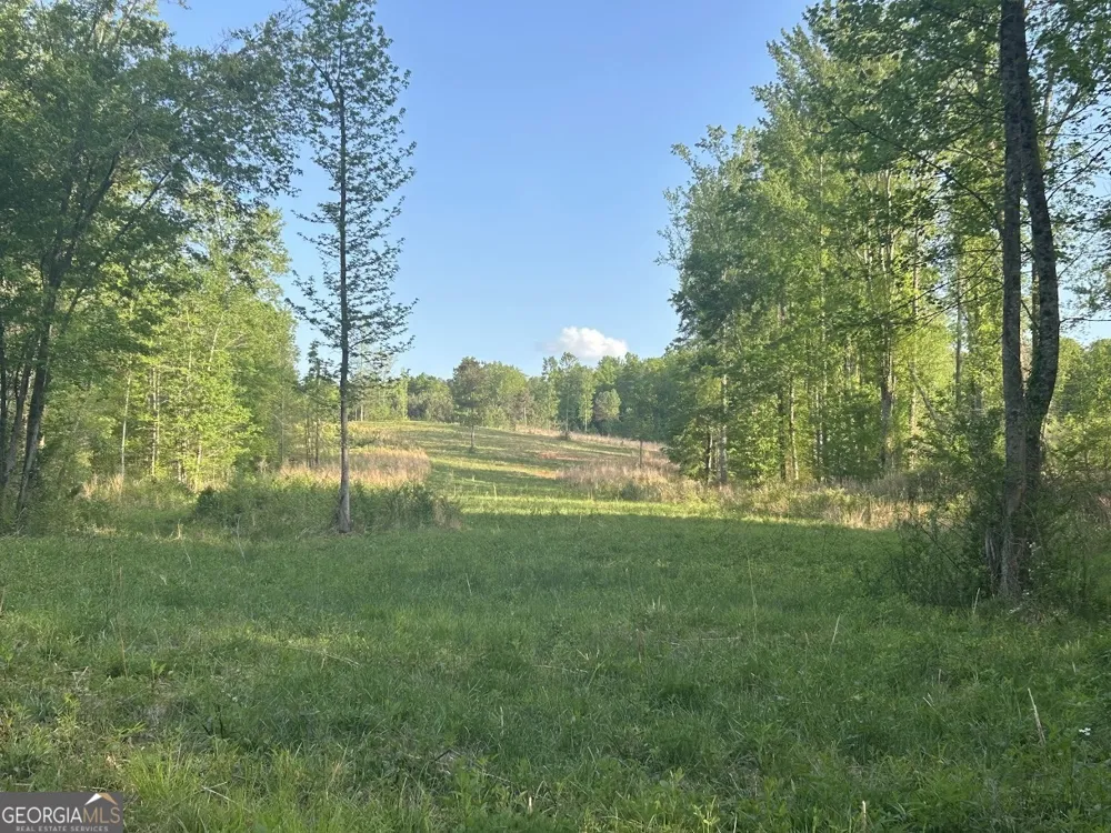 0 Needmore RD Roopville, GA 30170