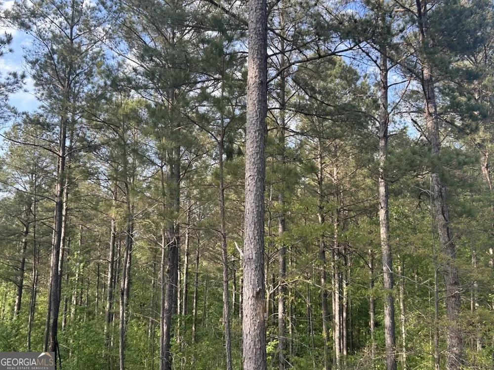 0 Needmore RD Roopville, GA 30170