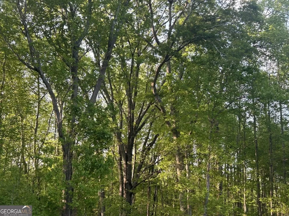 0 Needmore RD Roopville, GA 30170