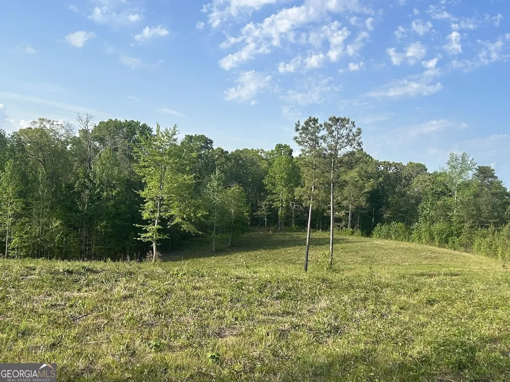 0 Needmore RD Roopville, GA 30170