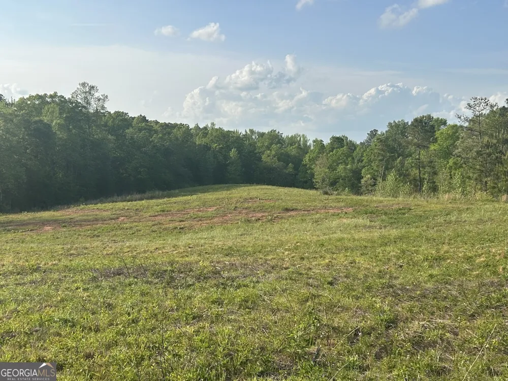 0 Needmore RD Roopville, GA 30170