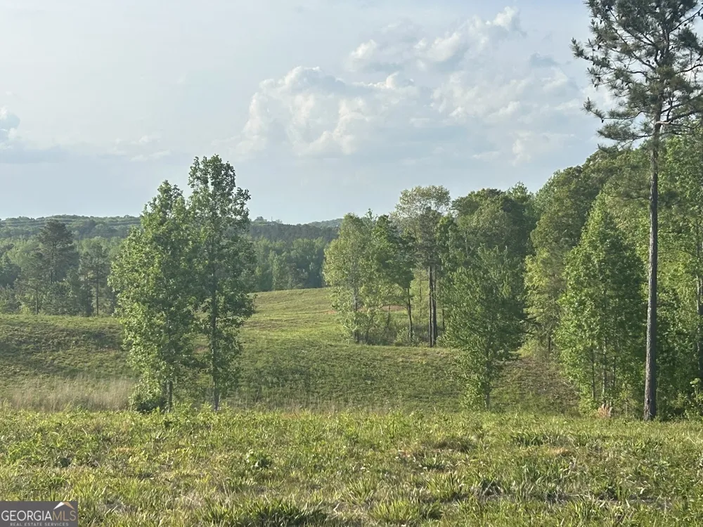 0 Needmore RD Roopville, GA 30170