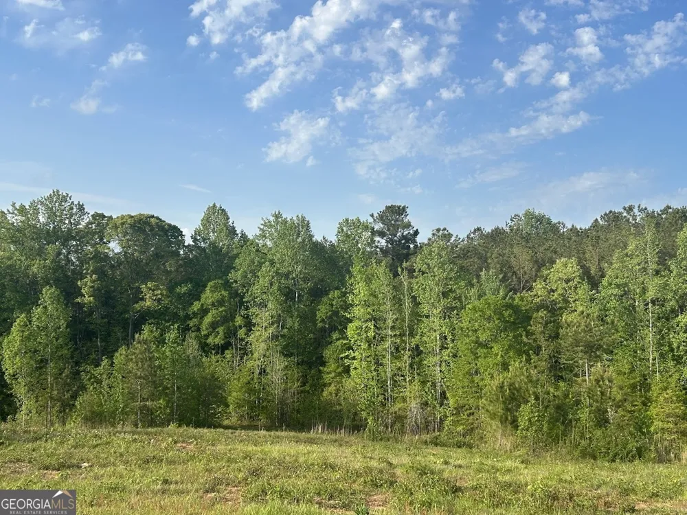 0 Needmore RD Roopville, GA 30170