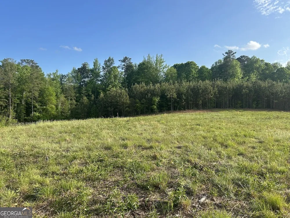 0 Needmore RD Roopville, GA 30170