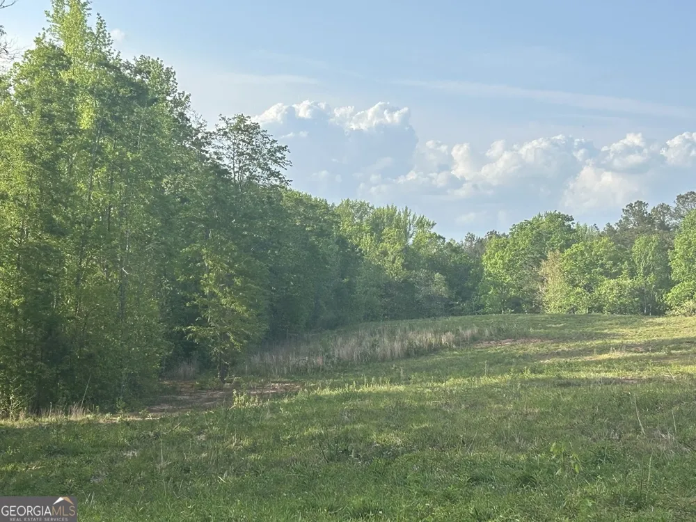 0 Needmore RD Roopville, GA 30170