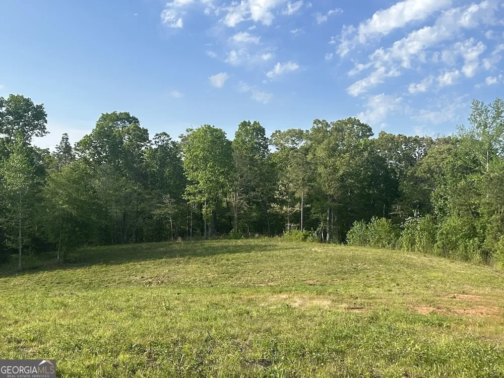 0 Needmore RD Roopville, GA 30170
