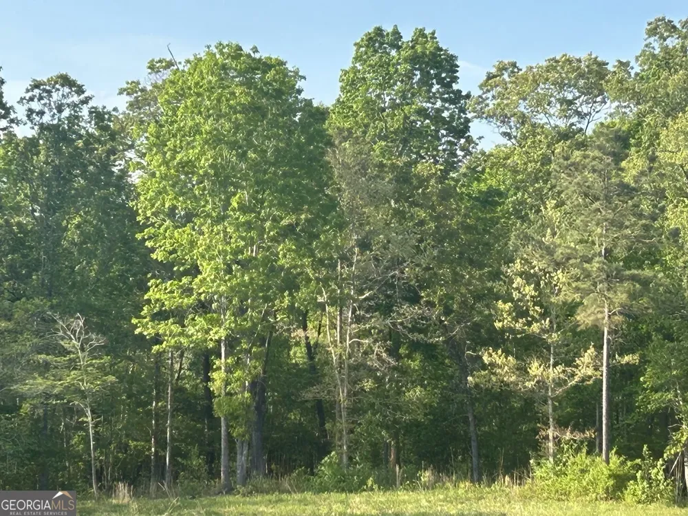 0 Needmore RD Roopville, GA 30170