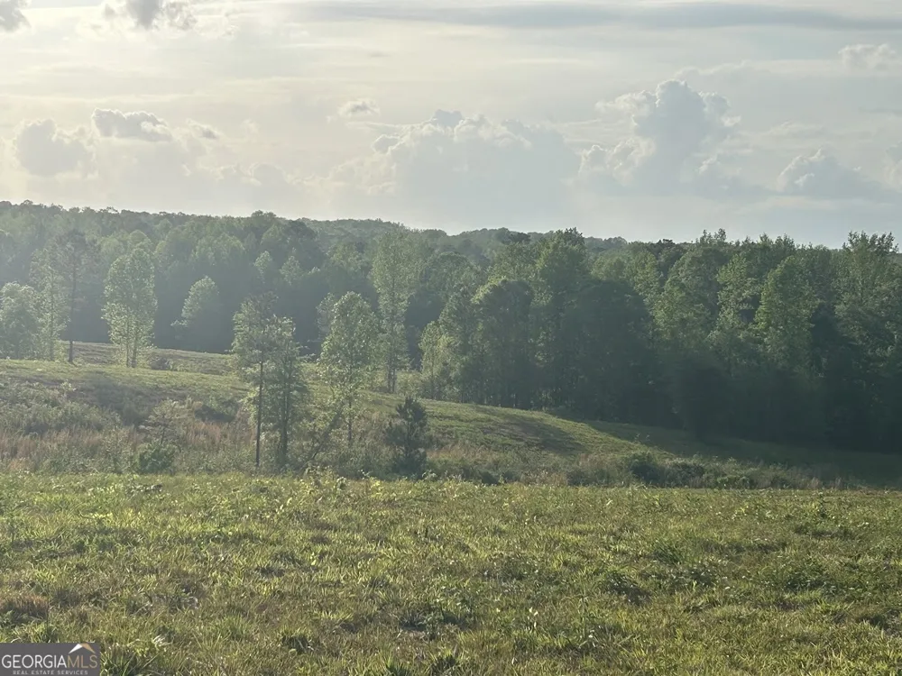 0 Needmore RD Roopville, GA 30170