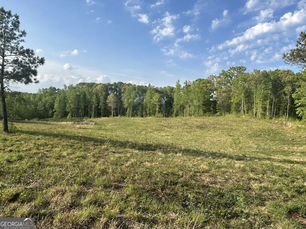0 Needmore RD Roopville, GA 30170