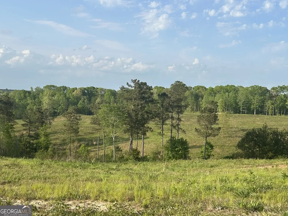 0 Needmore RD Roopville, GA 30170