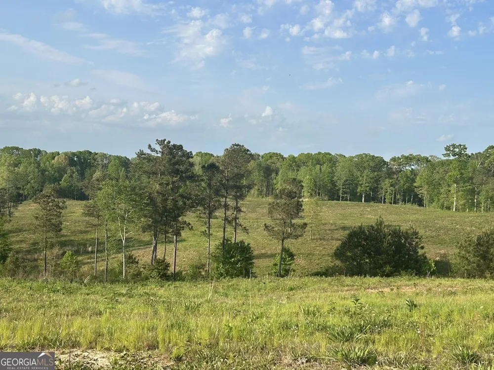 0 Needmore RD Roopville, GA 30170