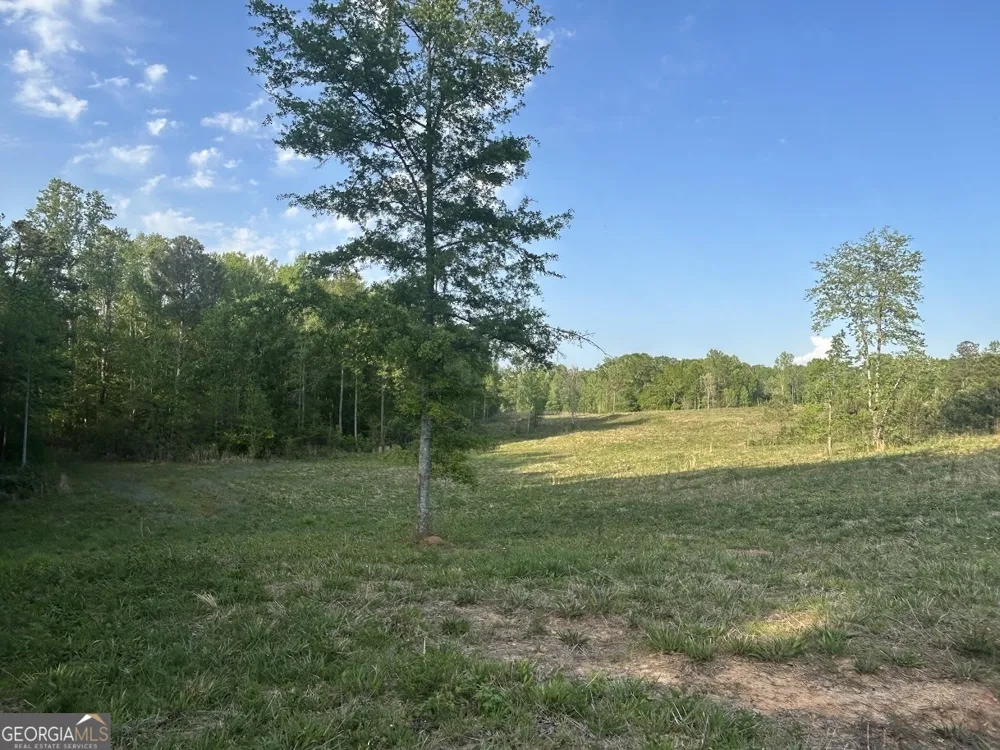 0 Needmore RD Roopville, GA 30170