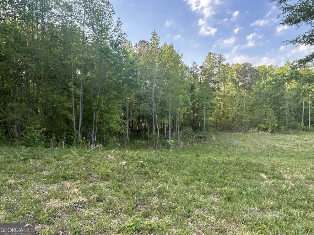 0 Needmore RD Roopville, GA 30170