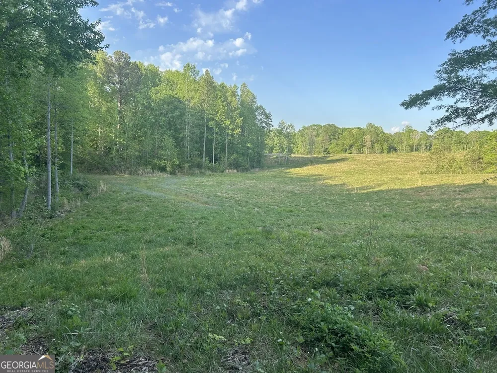 0 Needmore RD Roopville, GA 30170