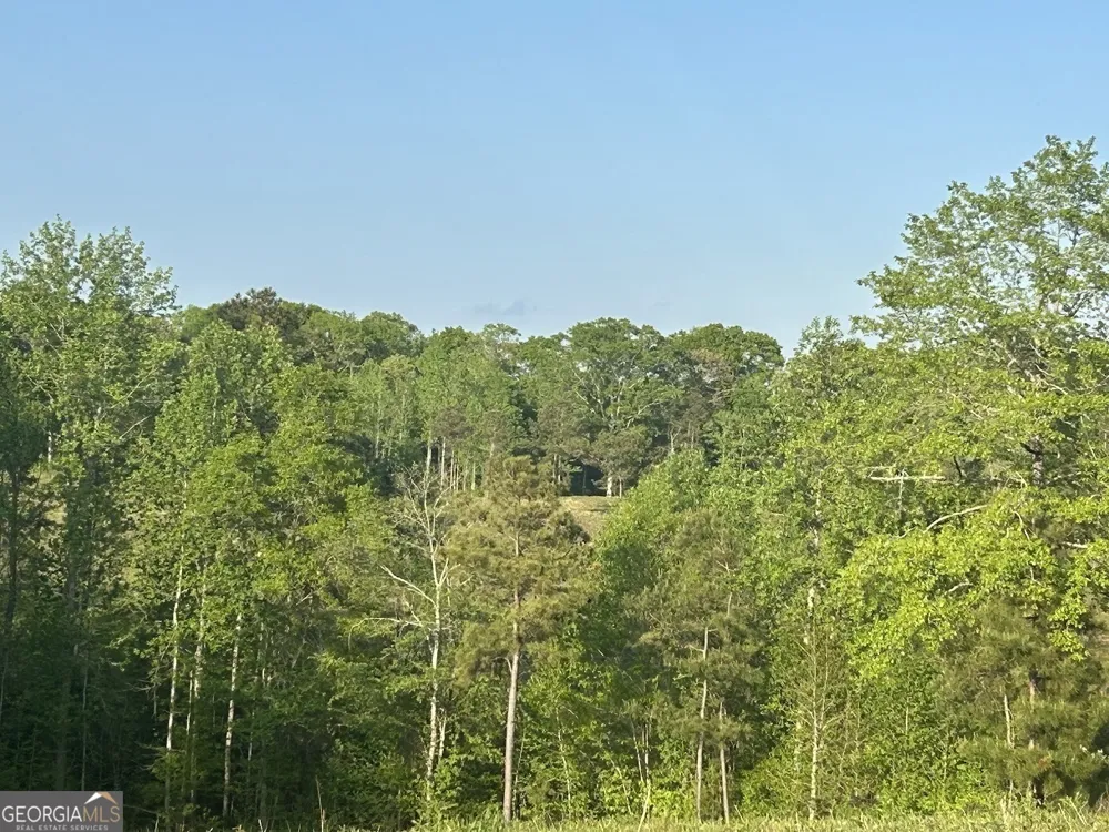 0 Needmore RD Roopville, GA 30170