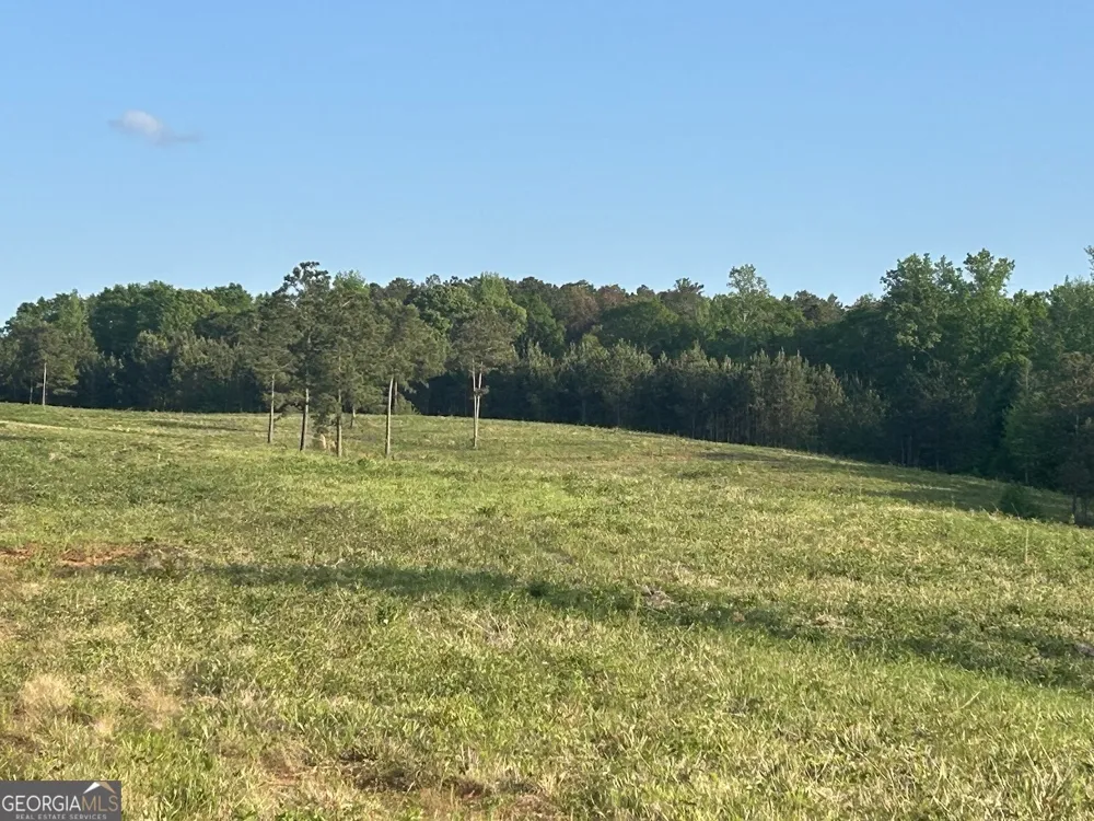 0 Needmore RD Roopville, GA 30170