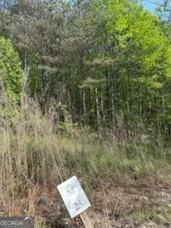 0 Eastside DR Ellijay, GA 30536