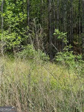 0 Eastside DR Ellijay, GA 30536