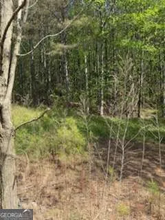 0 Eastside DR Ellijay, GA 30536