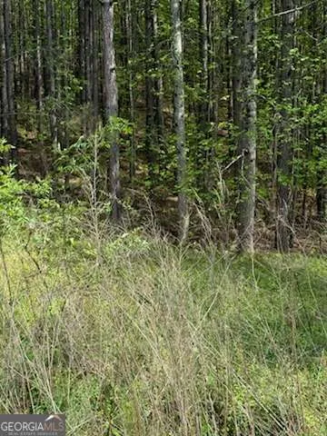 0 Eastside DR Ellijay, GA 30536