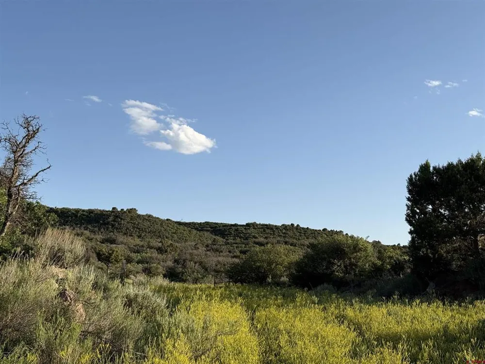 43867 Long Gulch Road Crawford, CO 81415