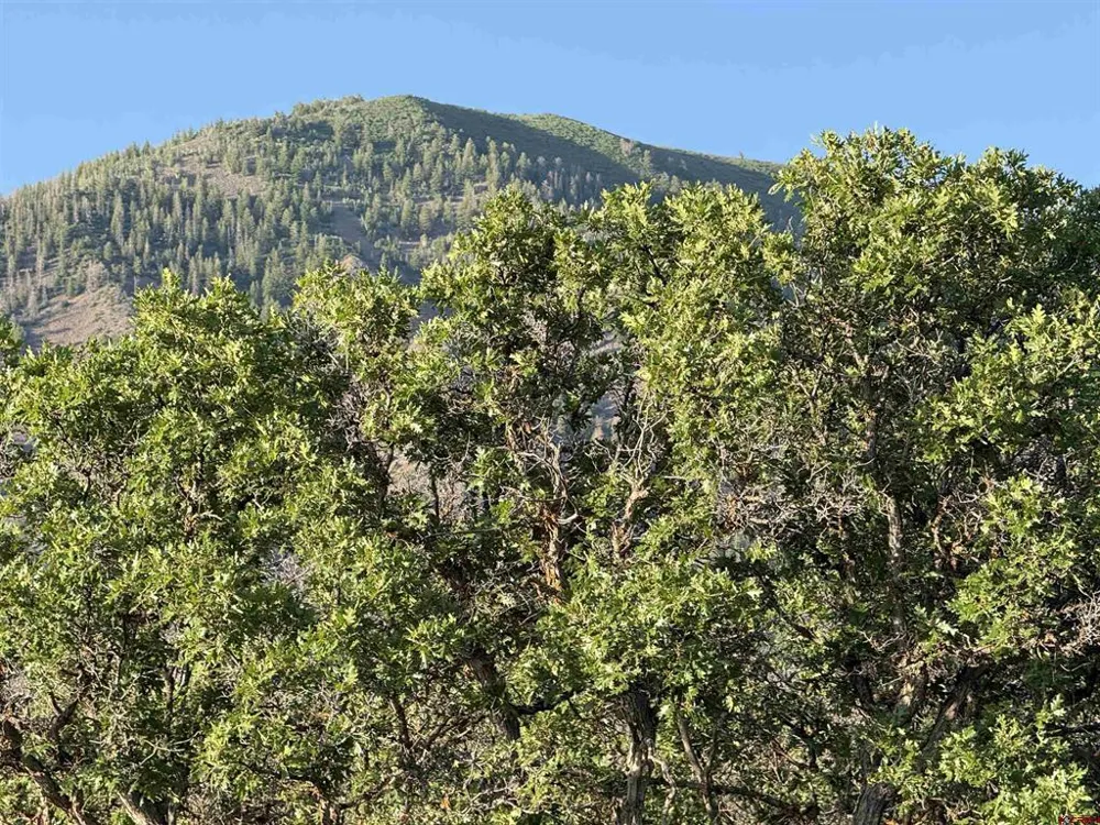 43867 Long Gulch Road Crawford, CO 81415