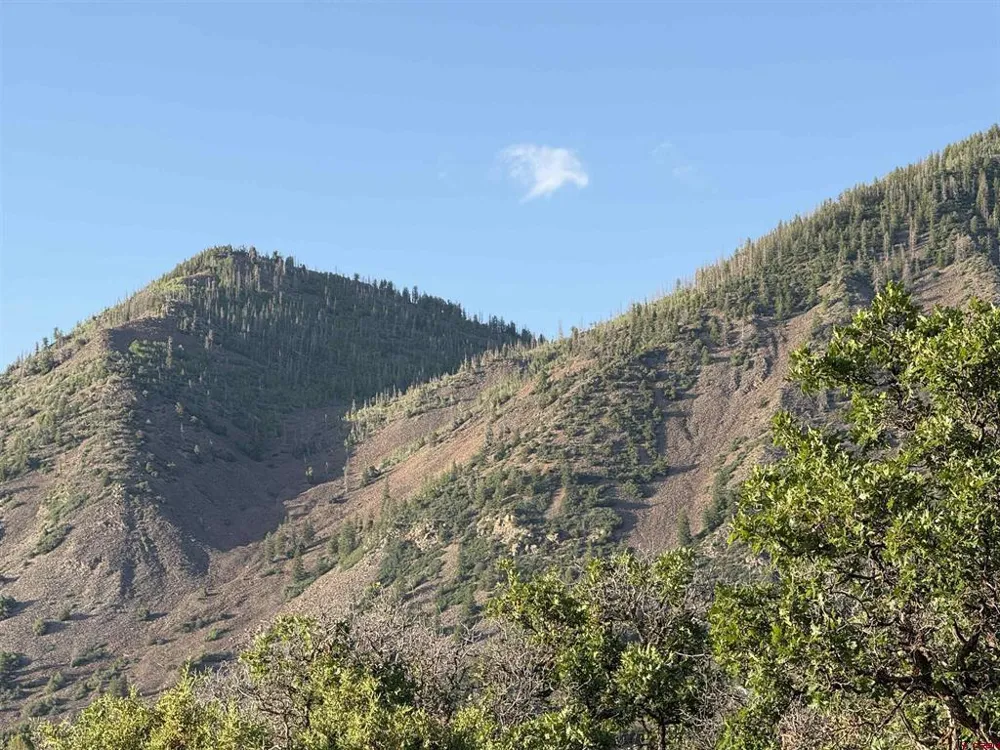 43867 Long Gulch Road Crawford, CO 81415