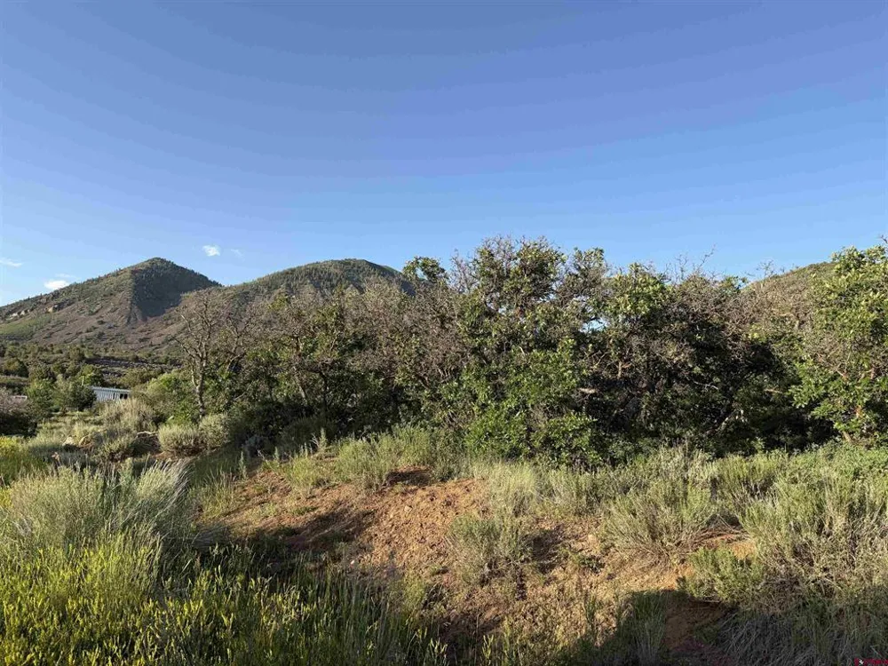 43867 Long Gulch Road Crawford, CO 81415