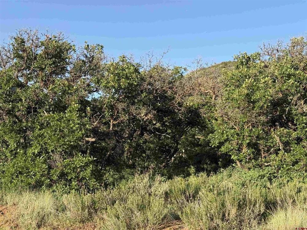 43867 Long Gulch Road Crawford, CO 81415