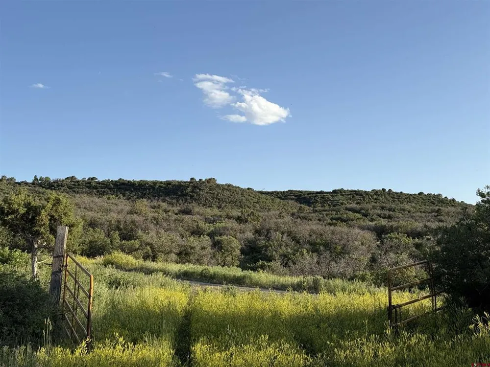 43867 Long Gulch Road Crawford, CO 81415