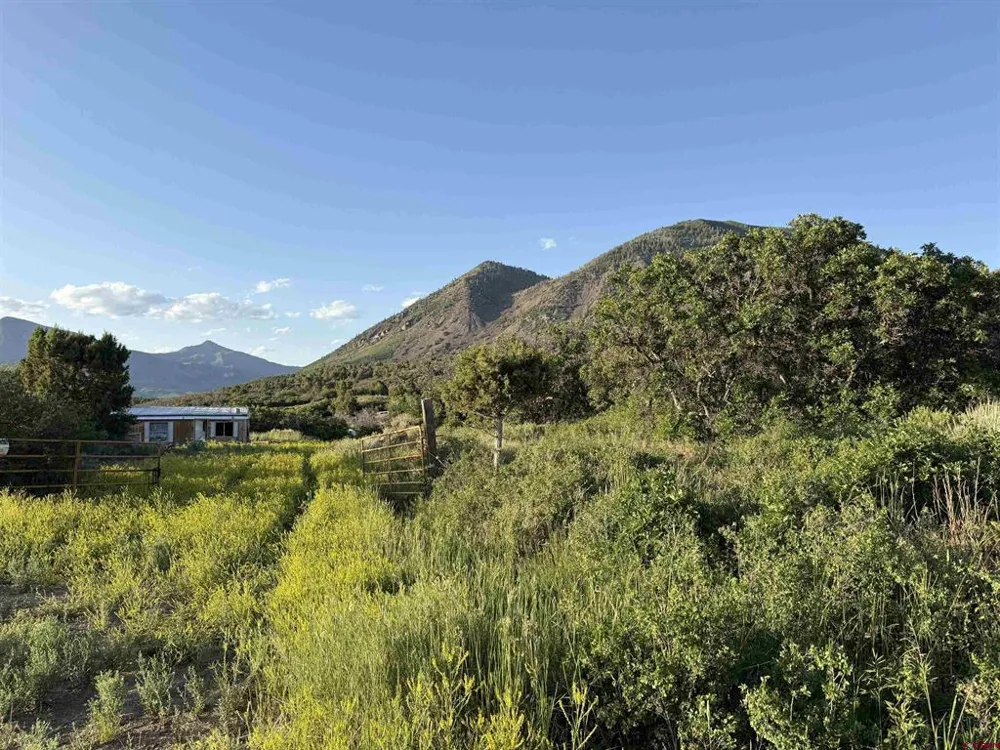 43867 Long Gulch Road Crawford, CO 81415