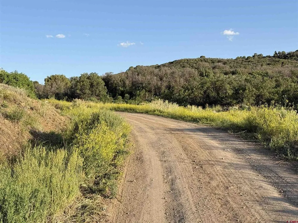 43867 Long Gulch Road Crawford, CO 81415