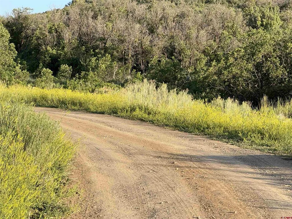 43867 Long Gulch Road Crawford, CO 81415