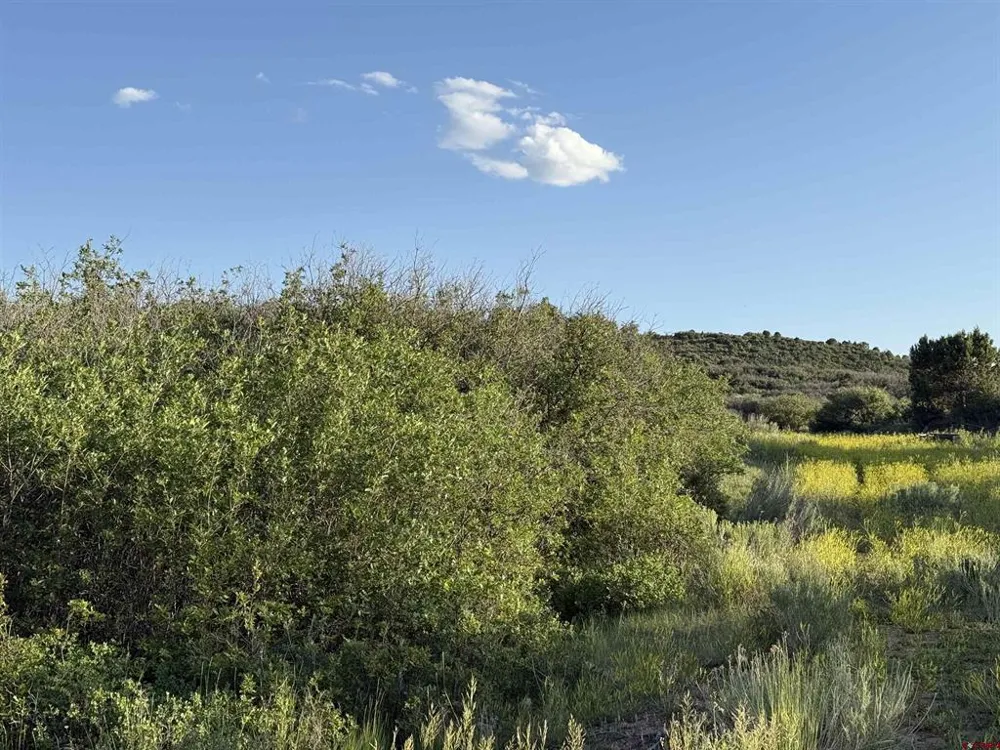 43867 Long Gulch Road Crawford, CO 81415