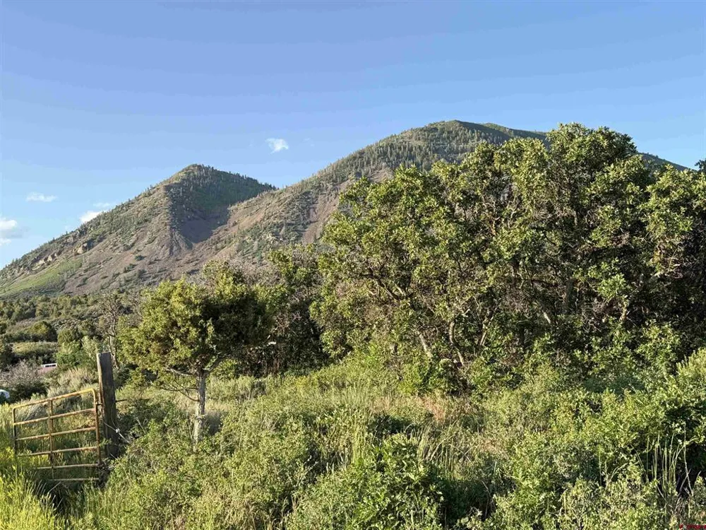 43867 Long Gulch Road Crawford, CO 81415