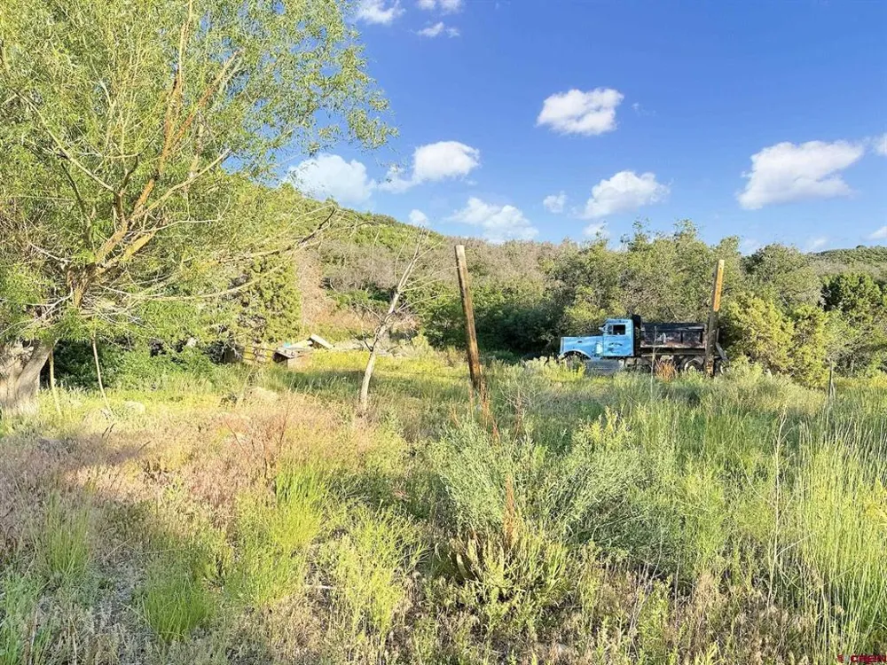 43867 Long Gulch Road Crawford, CO 81415