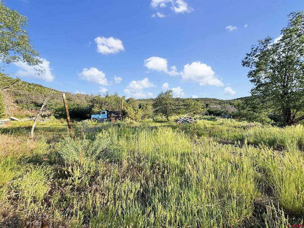 43867 Long Gulch Road Crawford, CO 81415