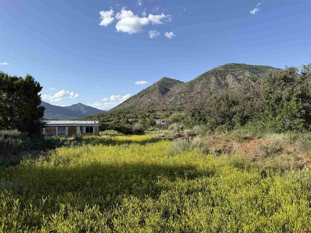 43867 Long Gulch Road Crawford, CO 81415
