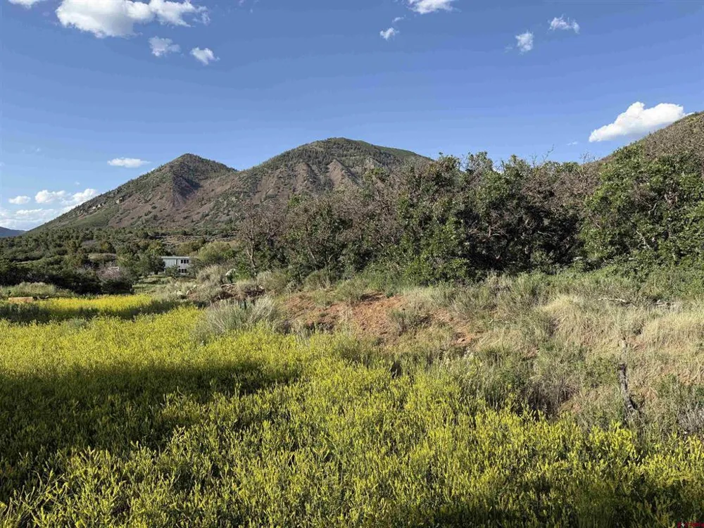 43867 Long Gulch Road Crawford, CO 81415