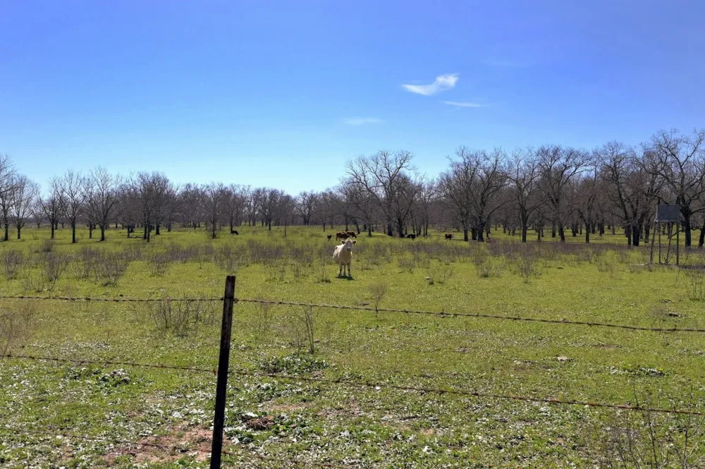 5201 US Highway 90A W Gonzales, TX 78629
