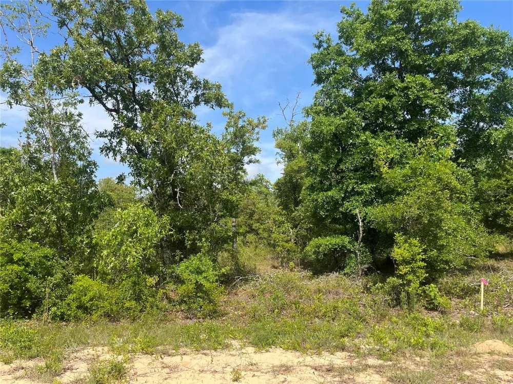 ROME AVENUE Alford, FL 32420