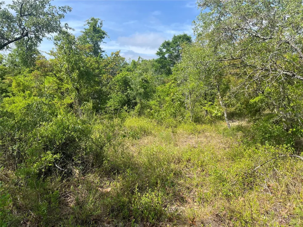 ROME AVENUE Alford, FL 32420