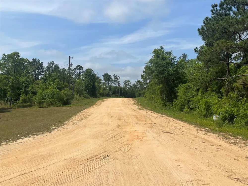 ROME AVENUE Alford, FL 32420