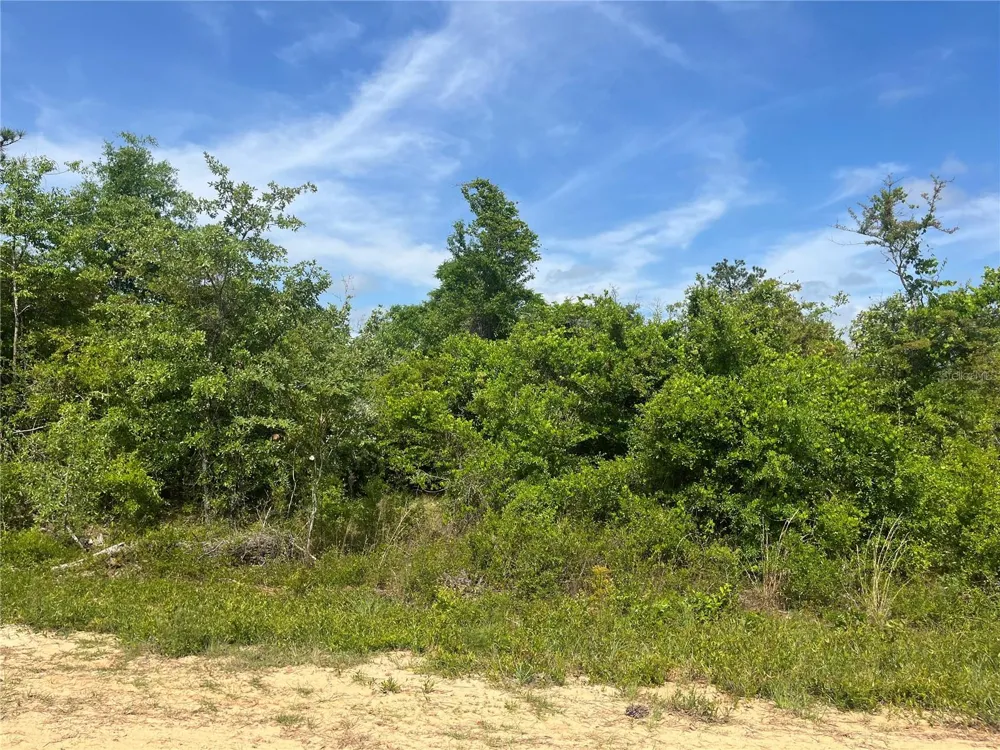 ROME AVENUE Alford, FL 32420