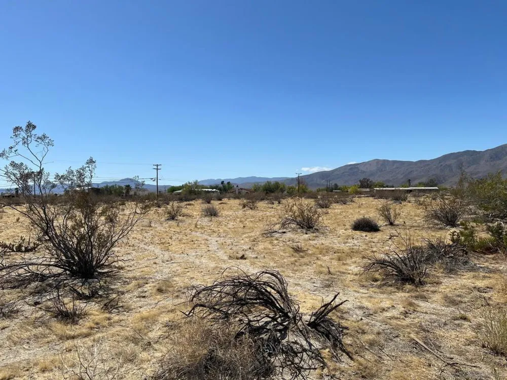 Borrego Springs Rd Borrego Springs, CA 92004