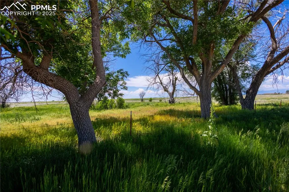 23655 E Garrett Road Calhan, CO 80808