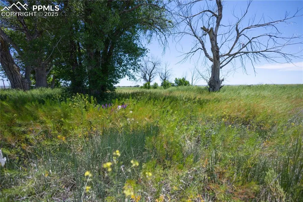 23655 E Garrett Road Calhan, CO 80808