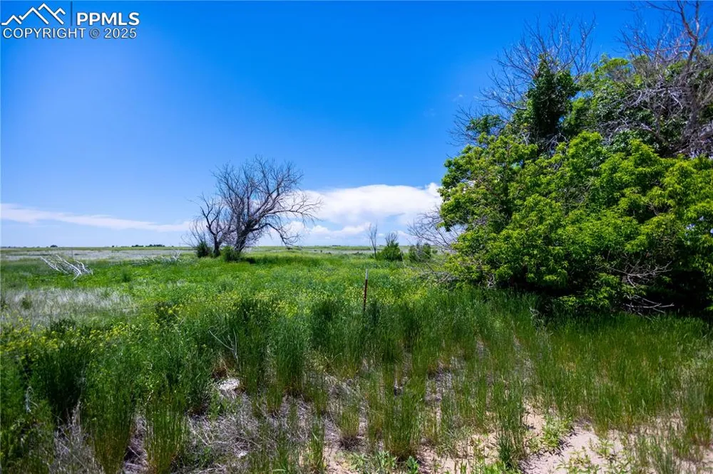 23655 E Garrett Road Calhan, CO 80808