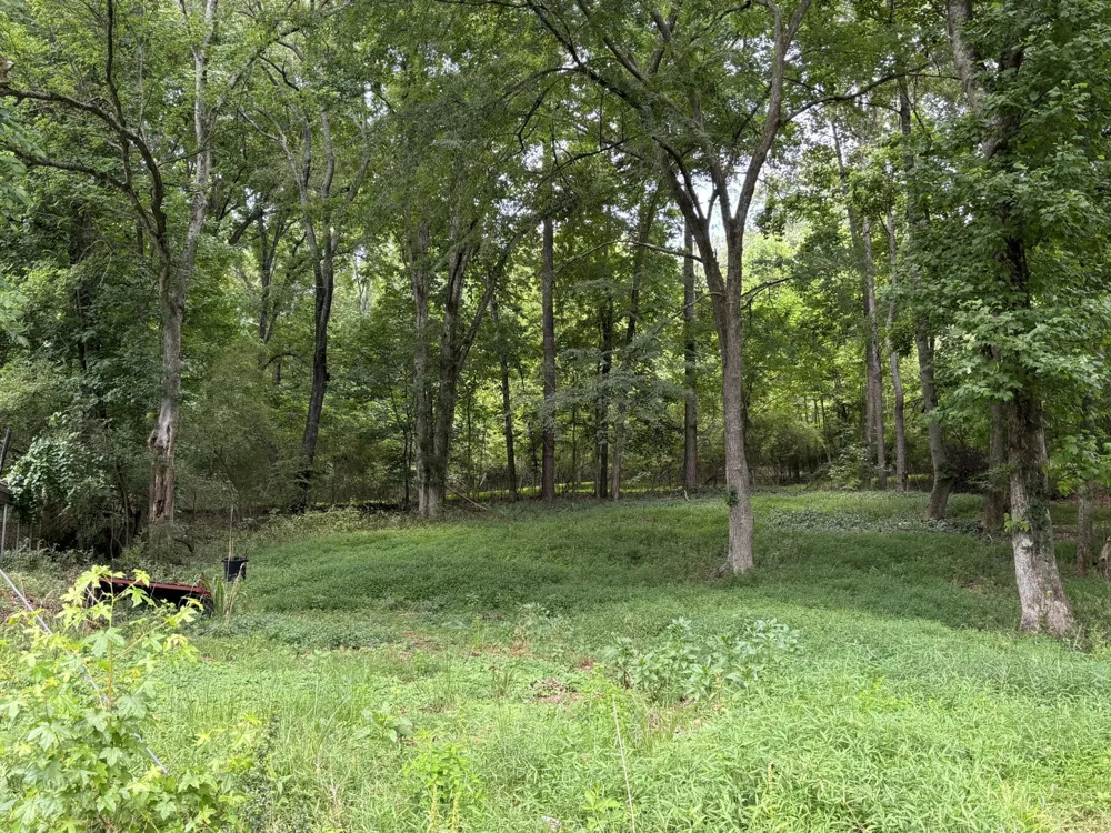 8907 Hidden Branches Road Harrison, TN 37341